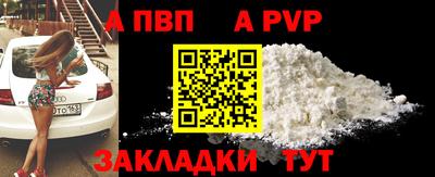 спайс Кингисепп