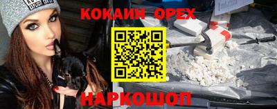спайс Кингисепп