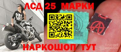 спайс Кингисепп