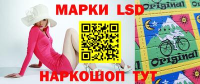 спайс Кингисепп