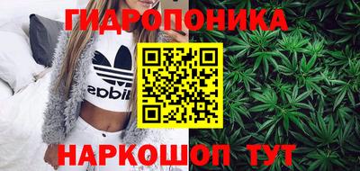 спайс Кингисепп