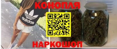 спайс Кингисепп