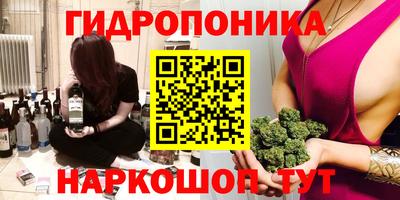 спайс Кингисепп