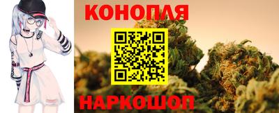 спайс Кингисепп