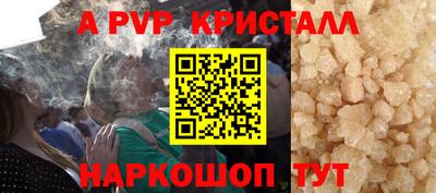 спайс Кингисепп