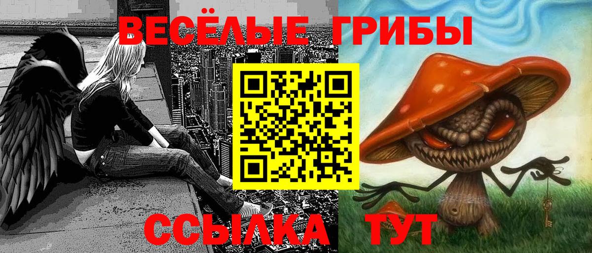 Псилоцибиновые грибы Psilocybine cubensis  Вход с VPN  Шуя 